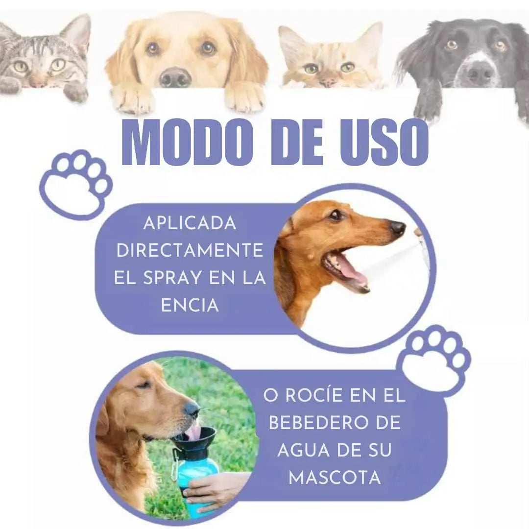 Tratamiento DentiPet™ ¡Spray Bucal Natural Antisarro para Mascotas!