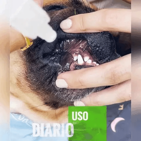 Encabezado
