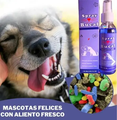 Tratamiento DentiPet™ ¡Spray Bucal Natural Antisarro para Mascotas!