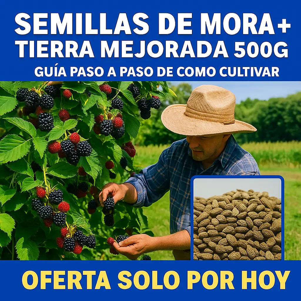 100 Semillas de Moras Orgánicas + 500 g de Tierra Mejorada – Tu Cosecha Casera Sin Químicos