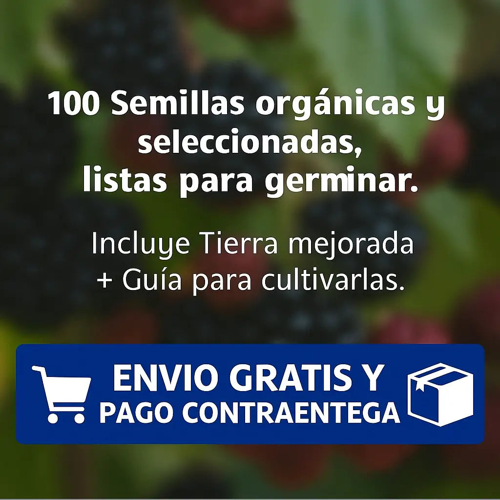 100 Semillas de Moras Orgánicas + 500 g de Tierra Mejorada – Tu Cosecha Casera Sin Químicos